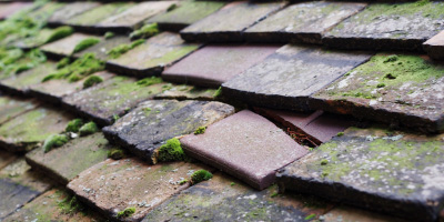 Goetre roof repair costs